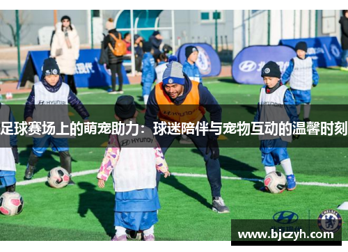 足球赛场上的萌宠助力：球迷陪伴与宠物互动的温馨时刻